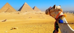 Day Tour to Cairo from Alexandria