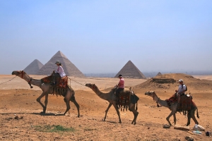 Overnight to Cairo from Aswan by VIP First Class Train