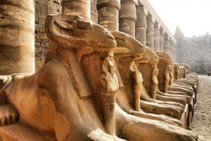 Tour to the West Bank in Luxor