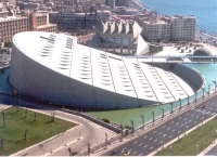 Tour to Cairo,Luxor and Aswan.